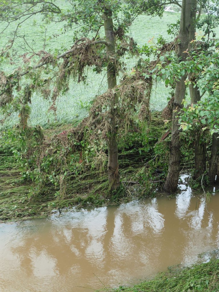 Bis zu drei Meter standen die Bäume im Wasser